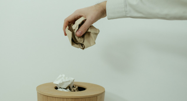 Image article