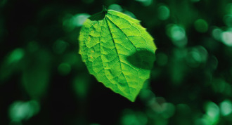 Image article C'est la Semaine Européenne de la Réduction des Déchets !